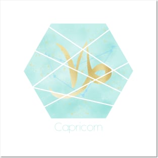 Capricorn zodiac sign Posters and Art